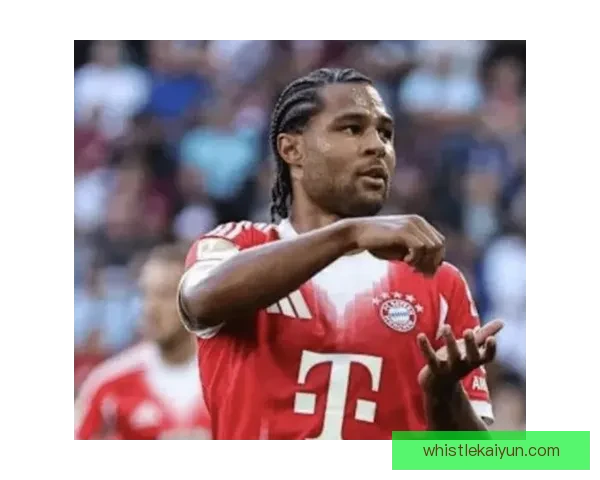 格纳布里状态回暖，期待在新赛季展现职业生涯高光时刻